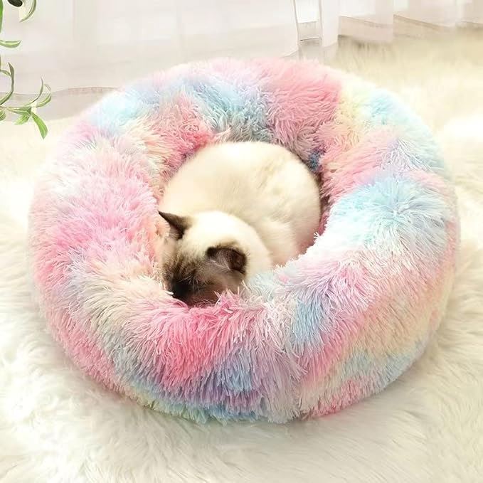 Lit pour Chat - CatLitTunnel™ - Multicolore - Amour du chat