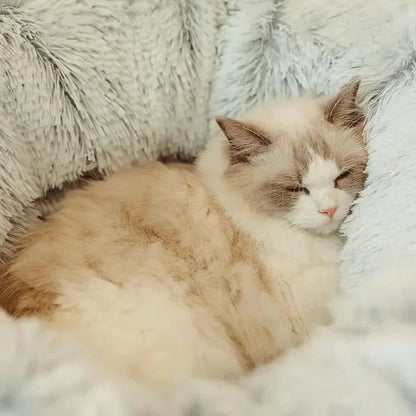 Lit pour Chat - CatLitTunnel™ - Gris - Amour du chat