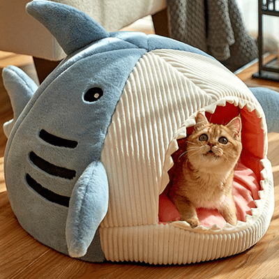 Niche Chat - SharkCave™ - Bleu - Le royaume des chats